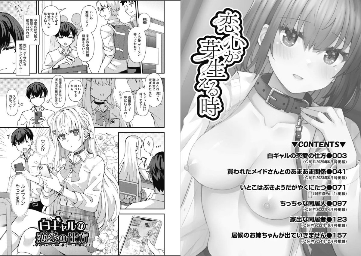 サンプル画像2